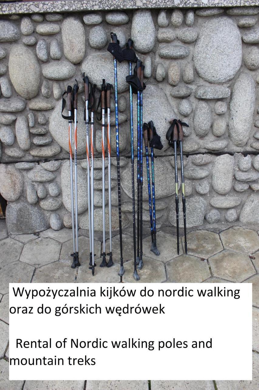 Willa Pod Zielonym Wierchem Zakopane Ngoại thất bức ảnh